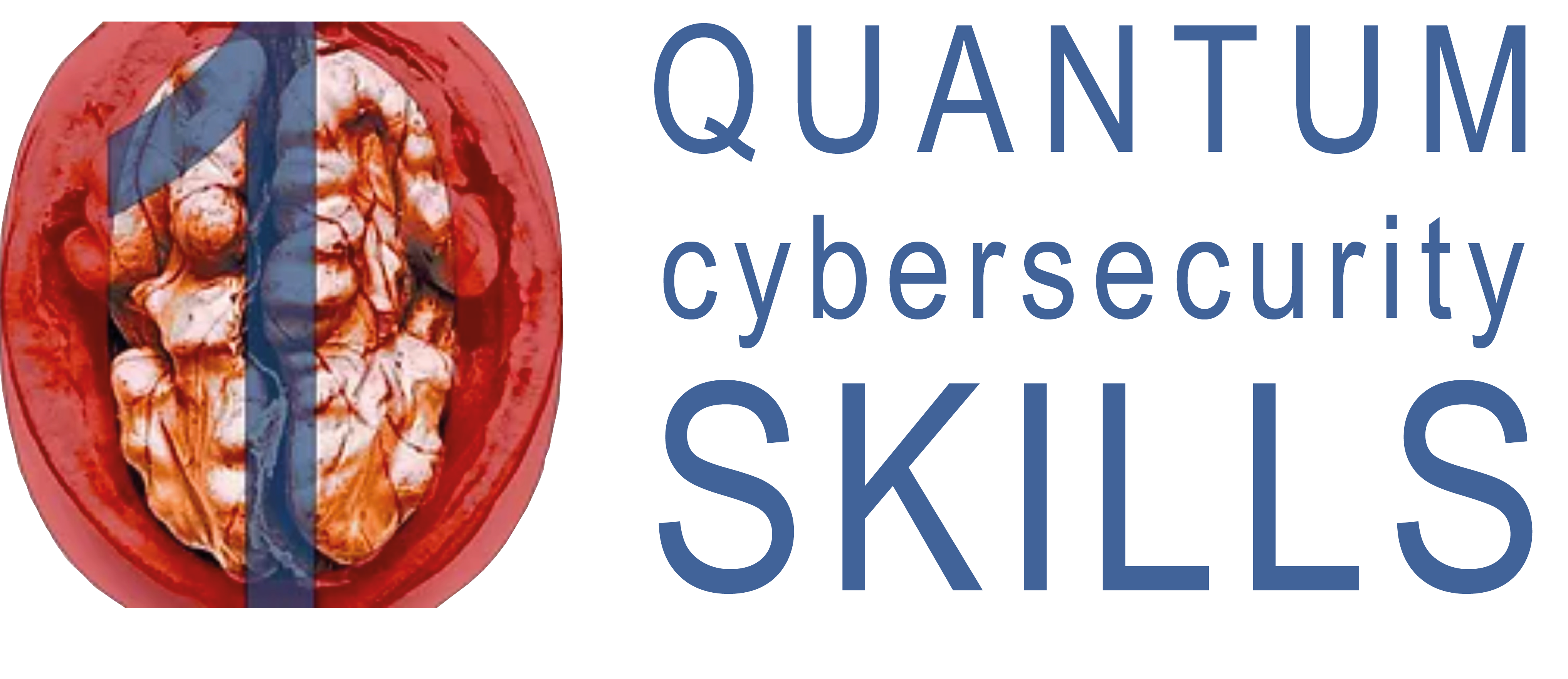 Quantum CyberSecurity Skills Logo Standard